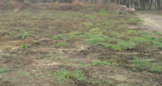 terrain bruyeres 2