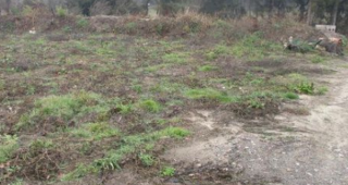 terrain bruyeres 3