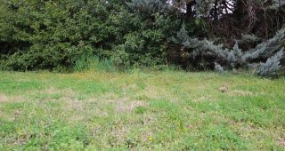 terrain courbessac