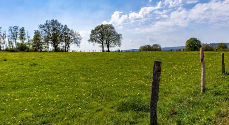 bassin de vie le creusot 70