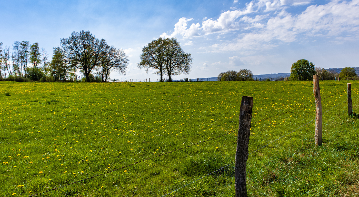 bassin de vie le creusot 70