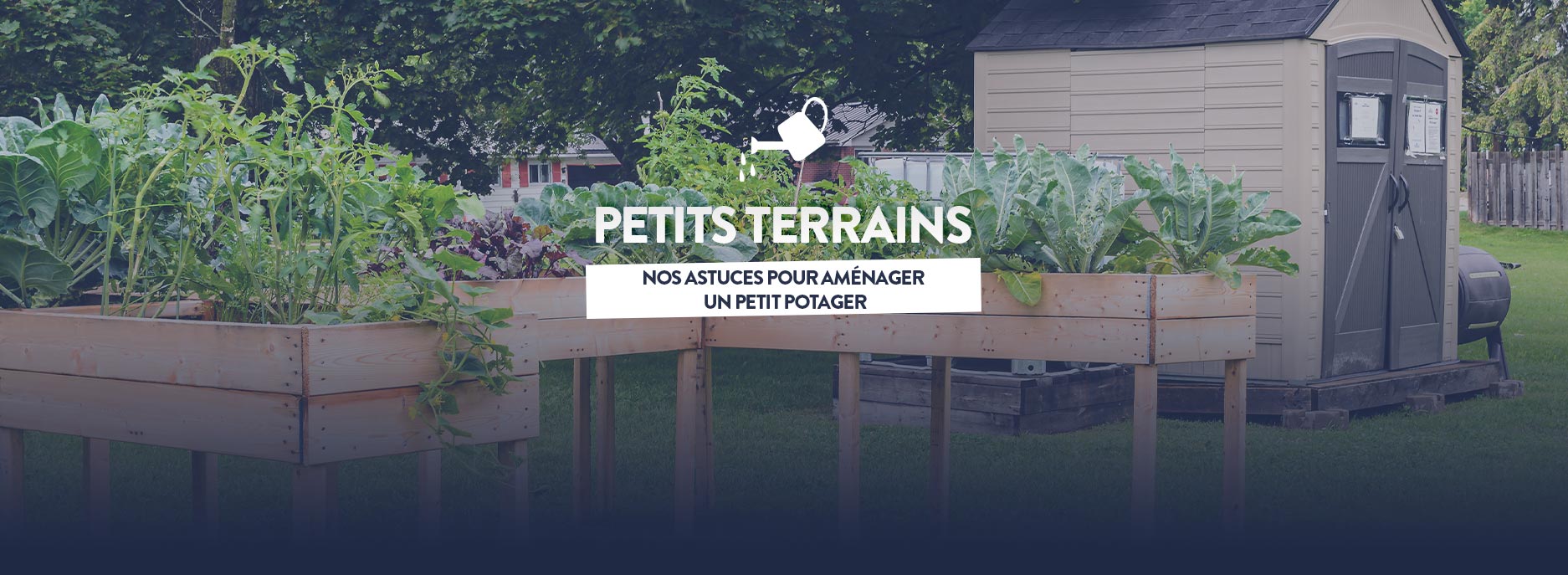 petit terrain amenagement potager