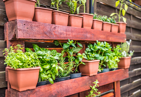 potager vertical maison neuve