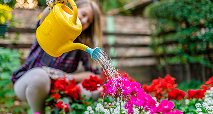 economies eau arroser jardin